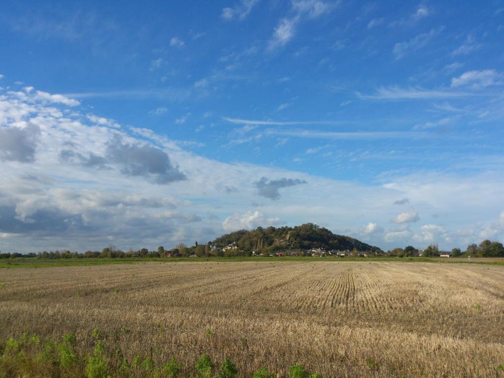 Gites Du Manoir De L'OrmelaisMont-Dol エクステリア 写真